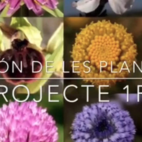 escola canigó sant just