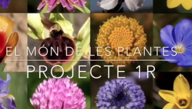 escola canigó sant just