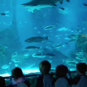 Escola canigó Sant Just