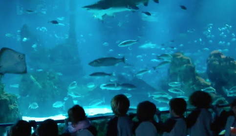 Escola canigó Sant Just