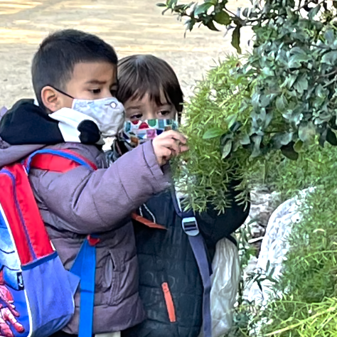 Captura de Pantalla 2021-11-19 a les 10.38.31