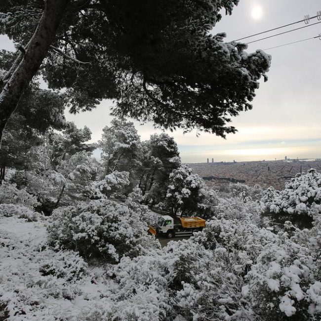 fa3ff5bc-1377-4705-b339-df066a50a04a_alta-libre-aspect-ratio_default_0