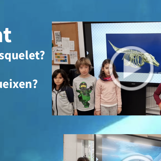 Captura-de-Pantalla-2023-03-07-a-les-14.36.42