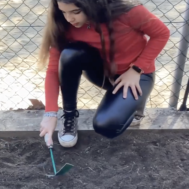 Captura-de-Pantalla-2023-03-10-a-les-8.48.15