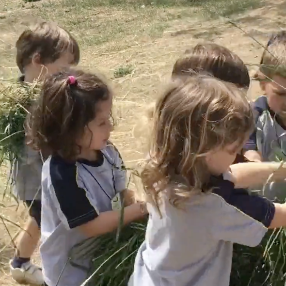 Captura-de-Pantalla-2023-05-12-a-les-8.35.09