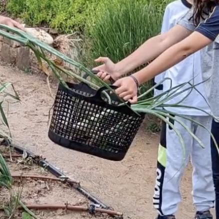 Captura-de-Pantalla-2023-05-30-a-les-14.54.07