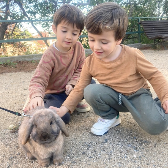 Captura-de-Pantalla-2023-12-04-a-les-12.18.36