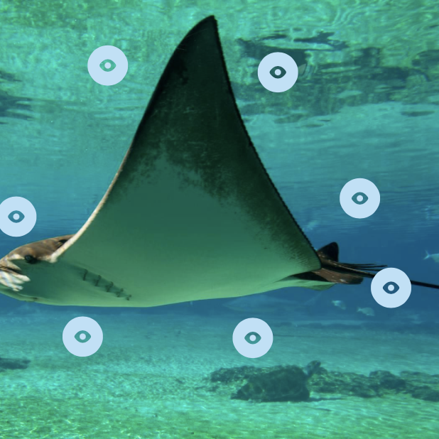 Captura-de-pantalla-2024-03-21-a-les-15.04.14