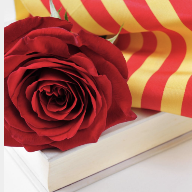 Captura-de-pantalla-2024-04-23-a-les-15.05.30