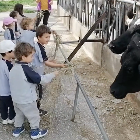 Captura-de-pantalla-2024-05-10-a-les-9.15.25