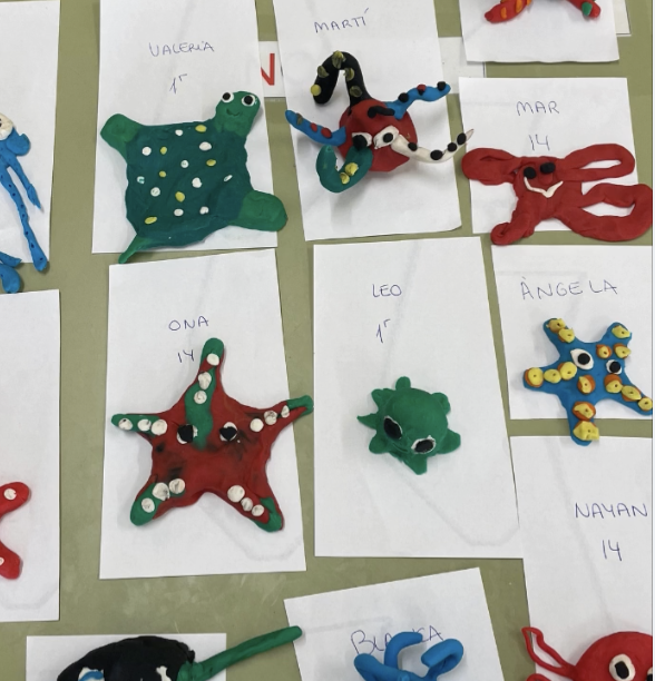 Captura-de-pantalla-2024-06-13-a-les-11.41.13