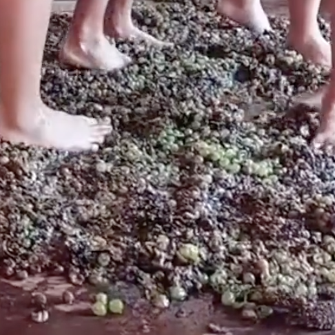 Captura de pantalla 2024-10-01 a les 16.24.34