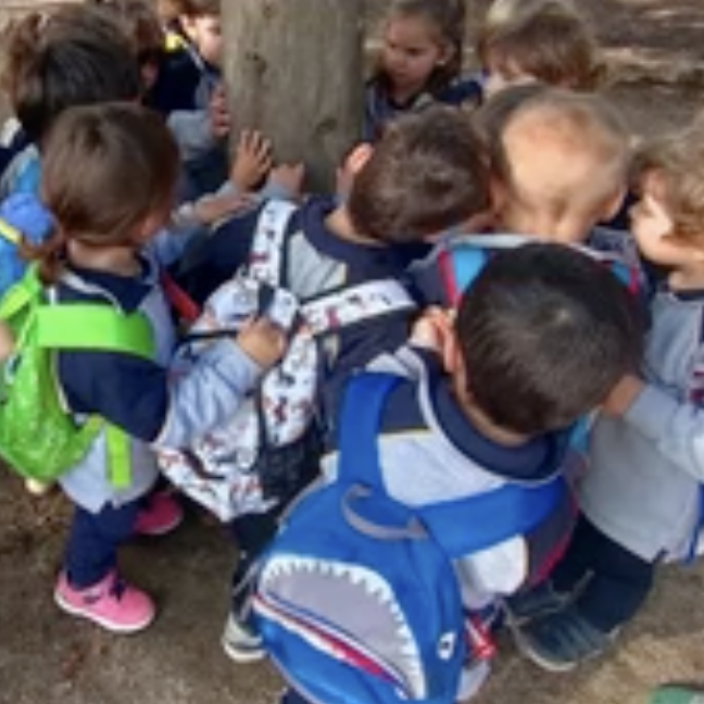 Captura de pantalla 2024-11-21 a les 16.26.45